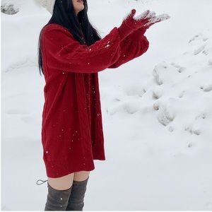 NWOT | Wool Blend Sweater Dress | Independent Designer | XS